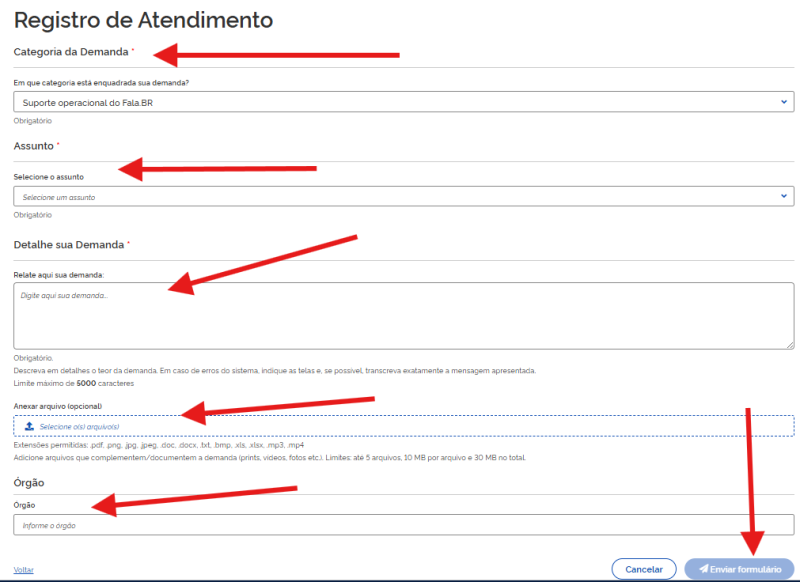 Arquivo:Novoformulariofinal.png